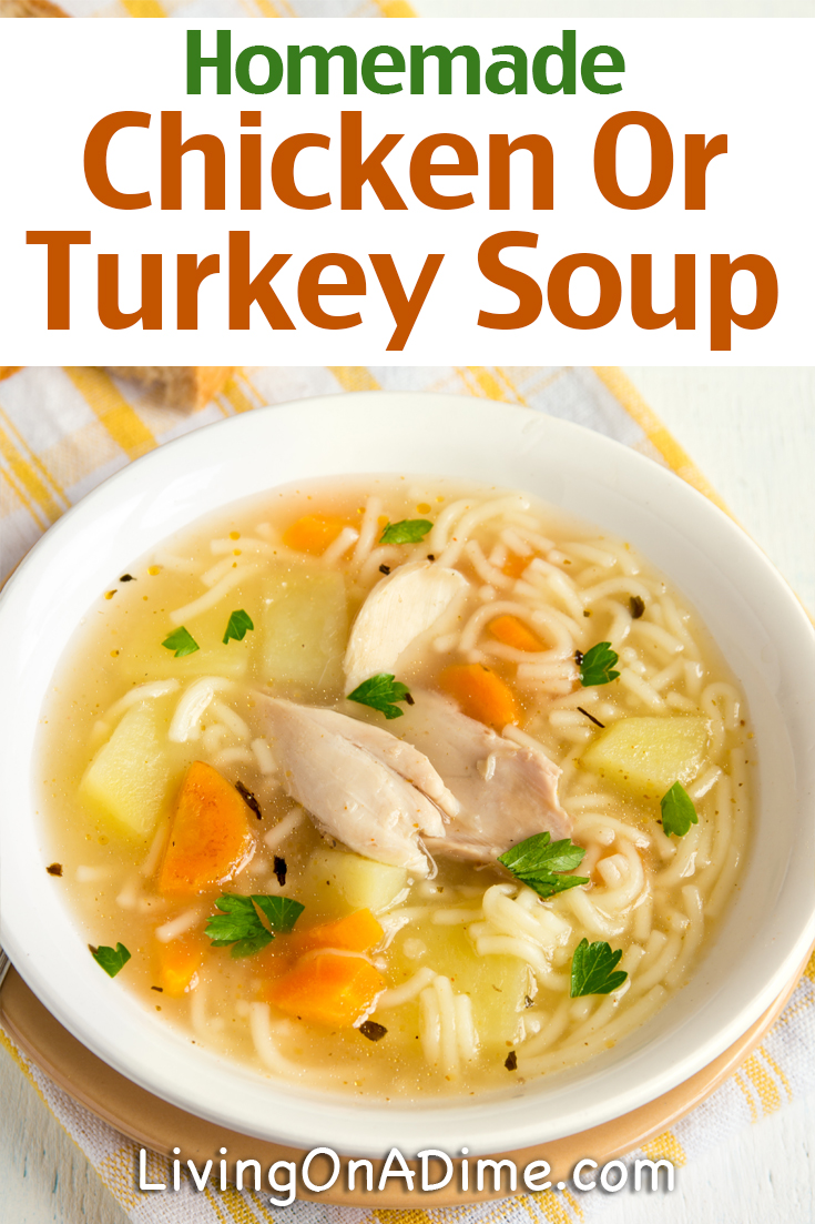 Homemade Chicken And Turkey Soup Recipes Living On A Dime
