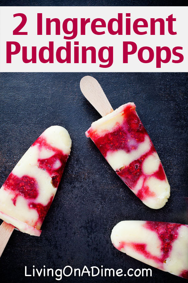 Easy 2 Ingredient Homemade Pudding Pops Recipe