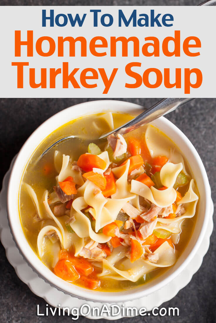 Homemade Chicken And Turkey Soup Recipes Living On A Dime