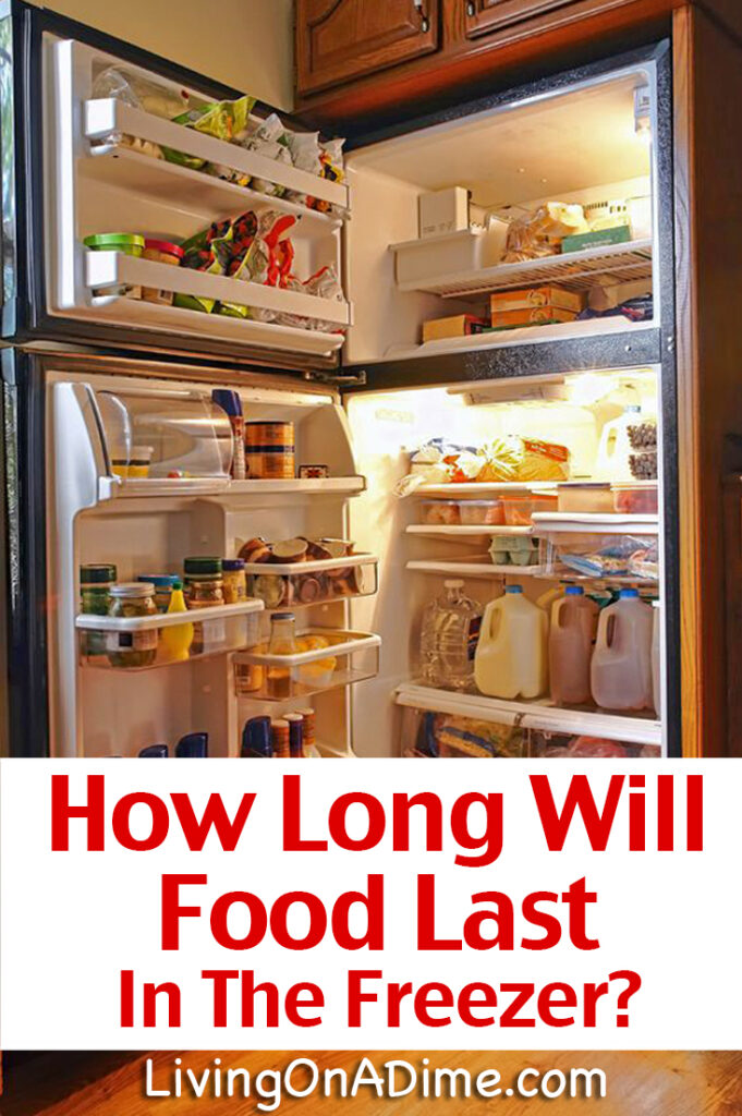 How Long Does Food Last In The Freezer? Freezer Guide LaptrinhX / News