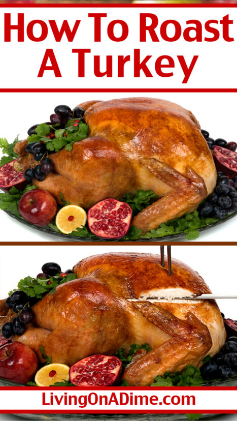 Here's a super easy how to roast a turkey recipe! This is the best roast turkey recipe ever and everyone raves about how moist and delicious it is!
