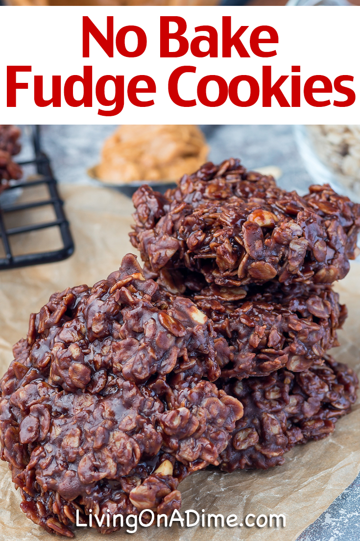 No Bake Fudge Cookies Recipe Easy Recipe That Kids Will Love!