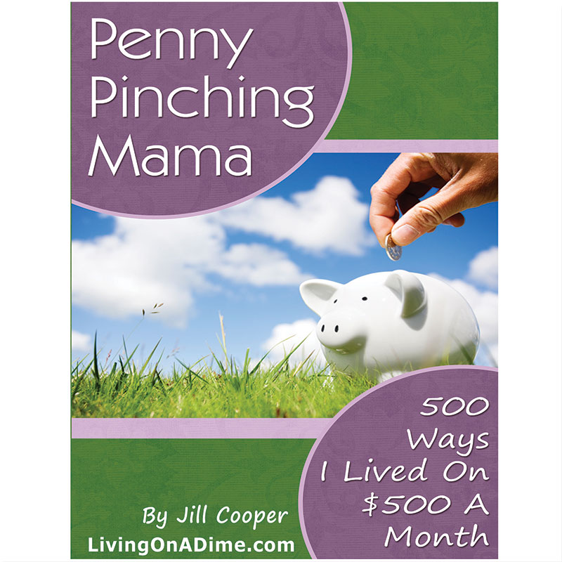 Penny Pinching Mama 500 Ways I Lived On 500 A Month Living On A penny-pinching-mama-500-ways-i-lived-on-500-a-month-living-on-a
