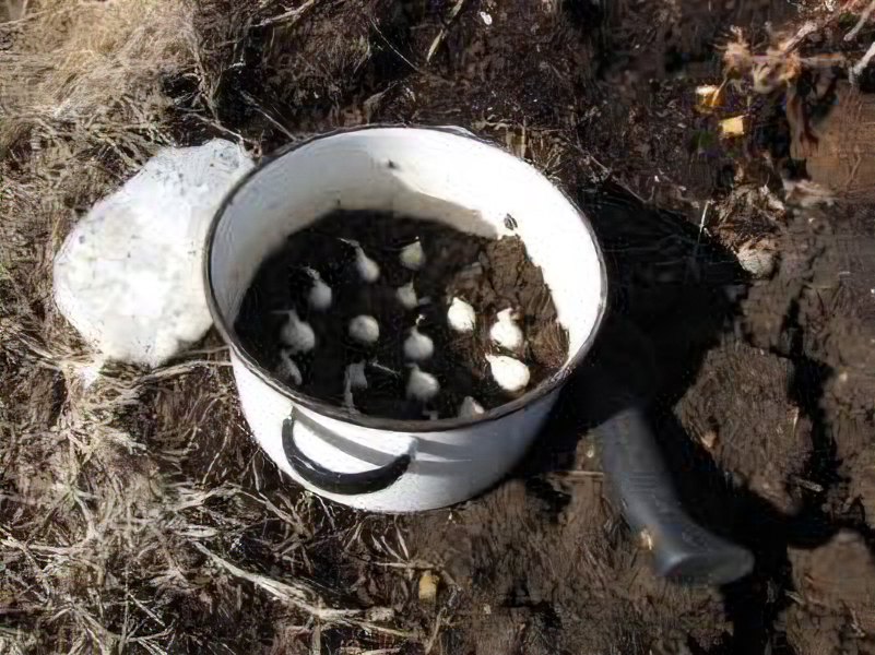 Here's how to plant green onions in a pot. Then you can grow green onions to use at home for salads ,cooking and more!