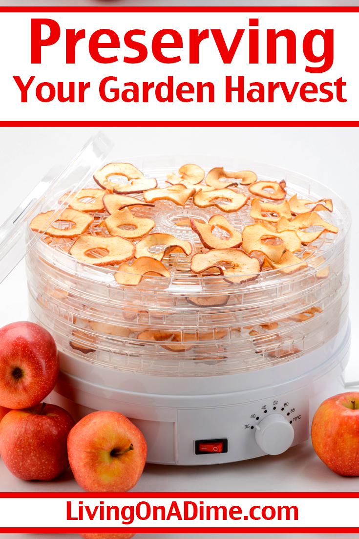 Preserving Your Garden Harvest Tips For Storing and Using Garden