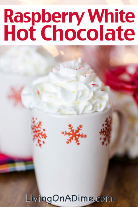 This easy Raspberry White Hot Chocolate Recipe is a different kind of warm and tasty drink that's great for cool days. Fresh raspberries and white chocolate make a nice change from regular hot chocolate! Try it! I think you'll like it!