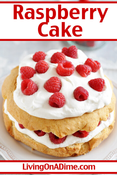 This raspberry cake recipe makes a light and fluffy cake style dessert with a delicious raspberry flavor and the perfect colors for Valentine's Day! Get this and more Valentine's Day candy recipes and treats here!