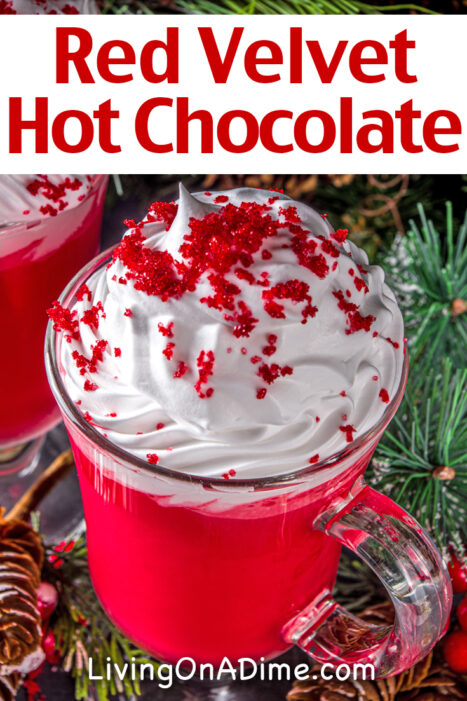 If you don't have time to make a red velvet cake but want something special for Valentine's Day or any other special occasion, try this Red Velvet Hot Chocolate Recipe. Red Velvet Hot Chocolate would taste extra special if you're sipping it while curled up in front of a toasty fire, a nice finishing touch on a nice romantic evening.