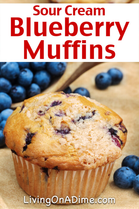 This easy sour cream blueberry muffin recipe makes moist and delicious blueberry muffins! This is a classic blueberry muffin recipe everyone will love!