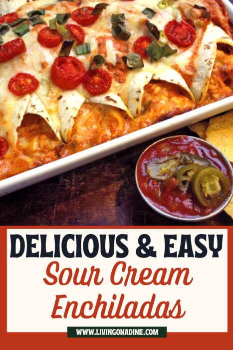 This Sour Cream Enchiladas Recipe makes yummy enchiladas that are quick and super easy to make for just $5! It's easy to add your own variations to satisfy everyone in your family!