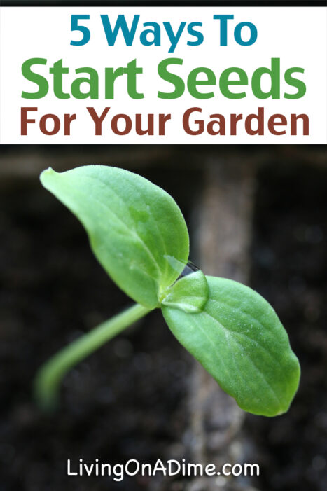 Here are 5 easy ways to start seeds for your garden including starting seeds indoors and other tricks to start a garden that will thrive!