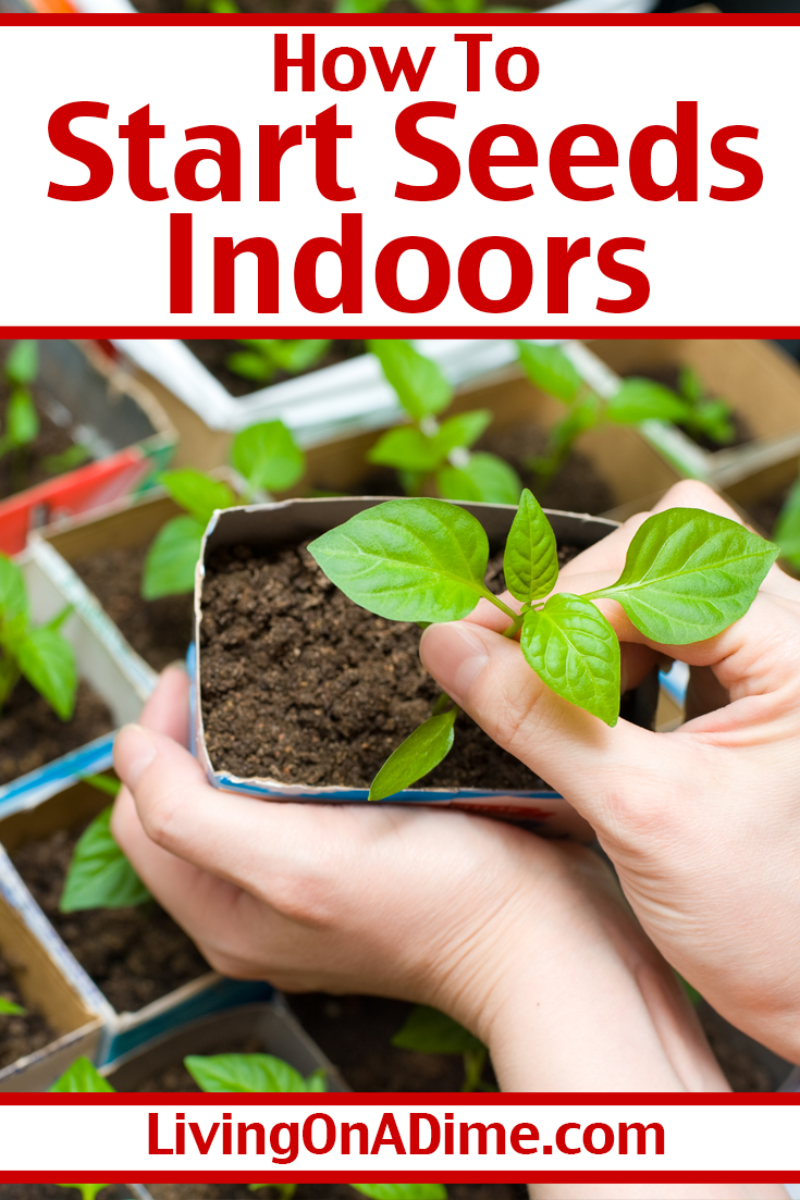 Starting Seeds Indoors - How To Start Garden Seeds - Living On A Dime