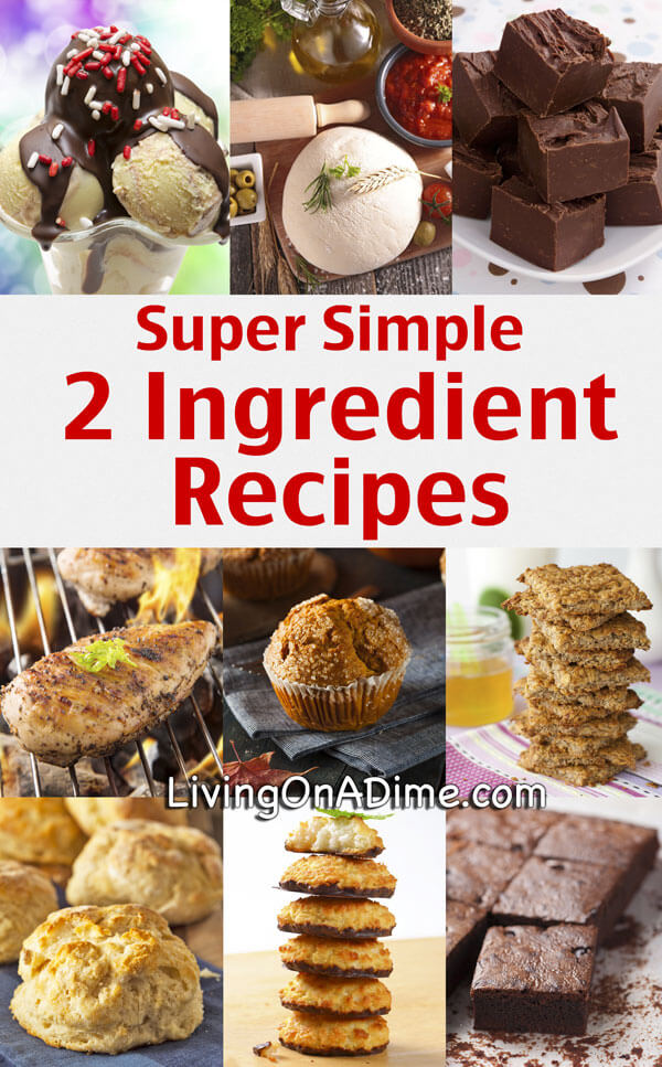 Super Simple 2 Ingredient Recipes - Living On A Dime