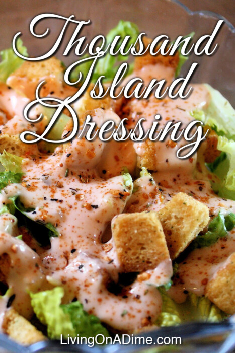 This thousand island dressing recipe is an easy homemade version of the classic salad dressing that you can make at home for pennies. It's good not only on salads and vegetables, but also on sandwiches and hamburgers. It's similar to the Big Mac sauce at McDonalds and is great on hamburgers.