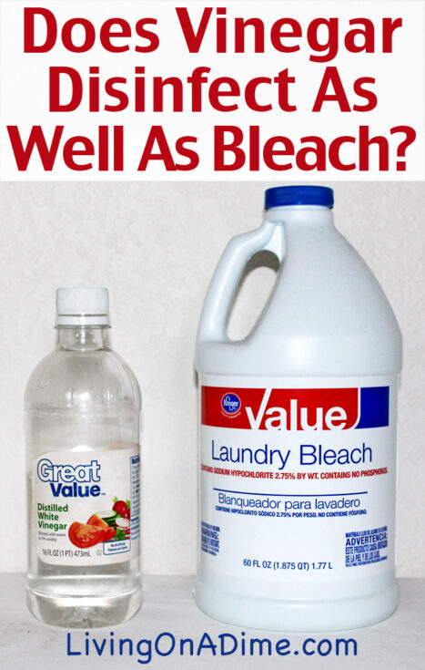 Does Vinegar Disinfect as Well as Bleach? Some people are afraid of bleach and prefer to use vinegar as a disinfectant but is it safe to use vinegar as a disinfectant?